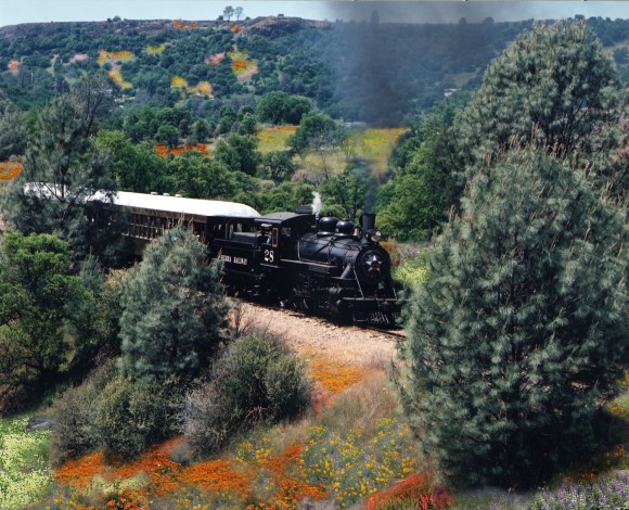 Wildflower Train Rides at Railtown 1897