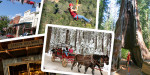 calaveras photos