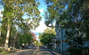 historic-downtown-murphys