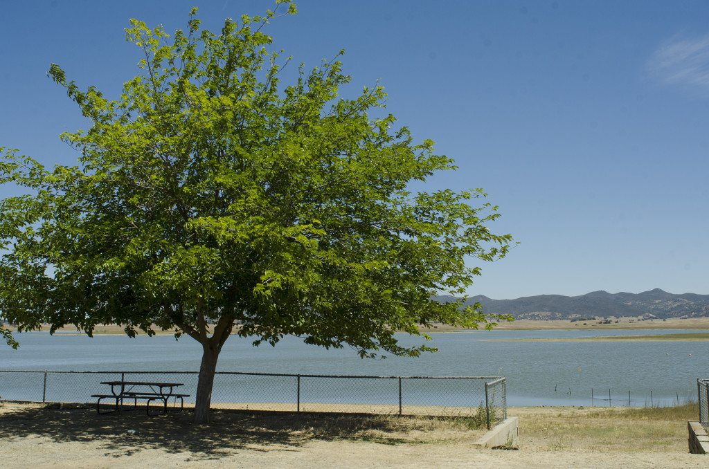 Salt Springs Reservoir, June 19, 2015